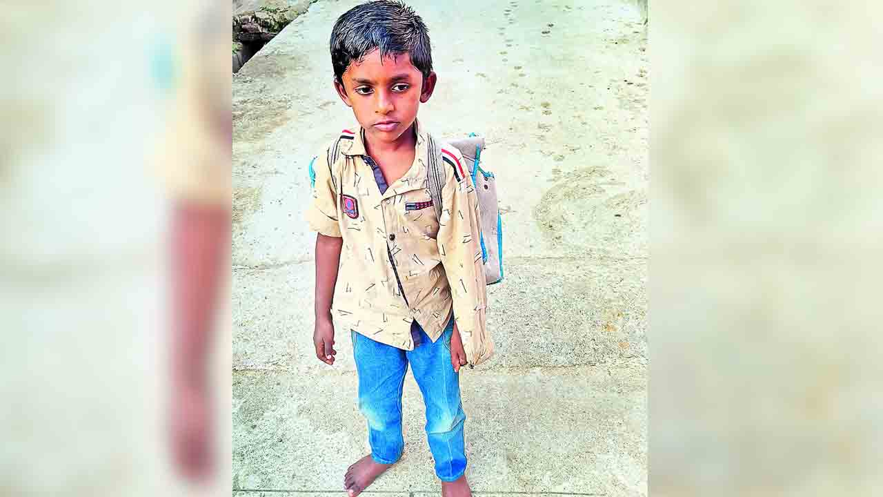 విద్యార్థి స్కూల్‌ బ్యాగులో తాచుపాము