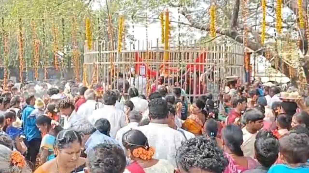 జమిలిగా పూసిన జాజి మల్లె సమ్మక్క- సారక్క