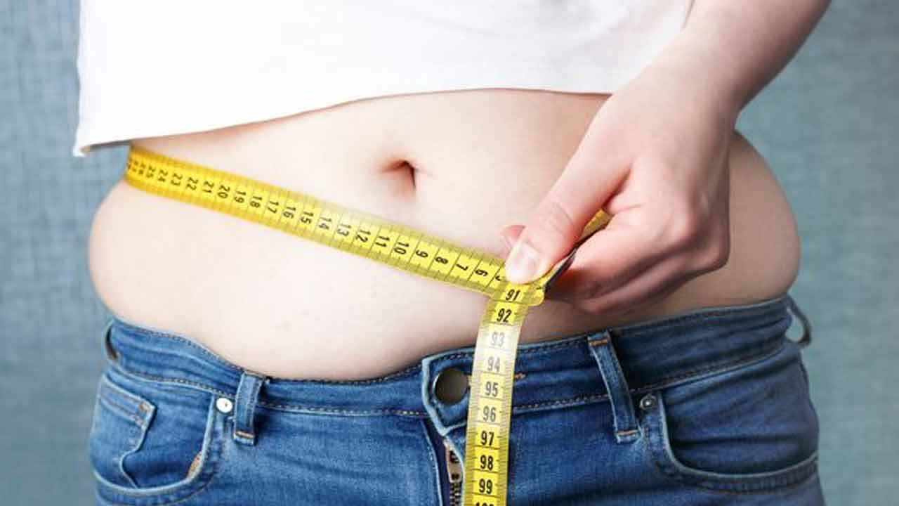 Visceral Fat | పొట్ట చుట్టూ కొవ్వు పేరుకుందంటే.. రోగాల బాధ పొంచి ఉన్నట్టే!