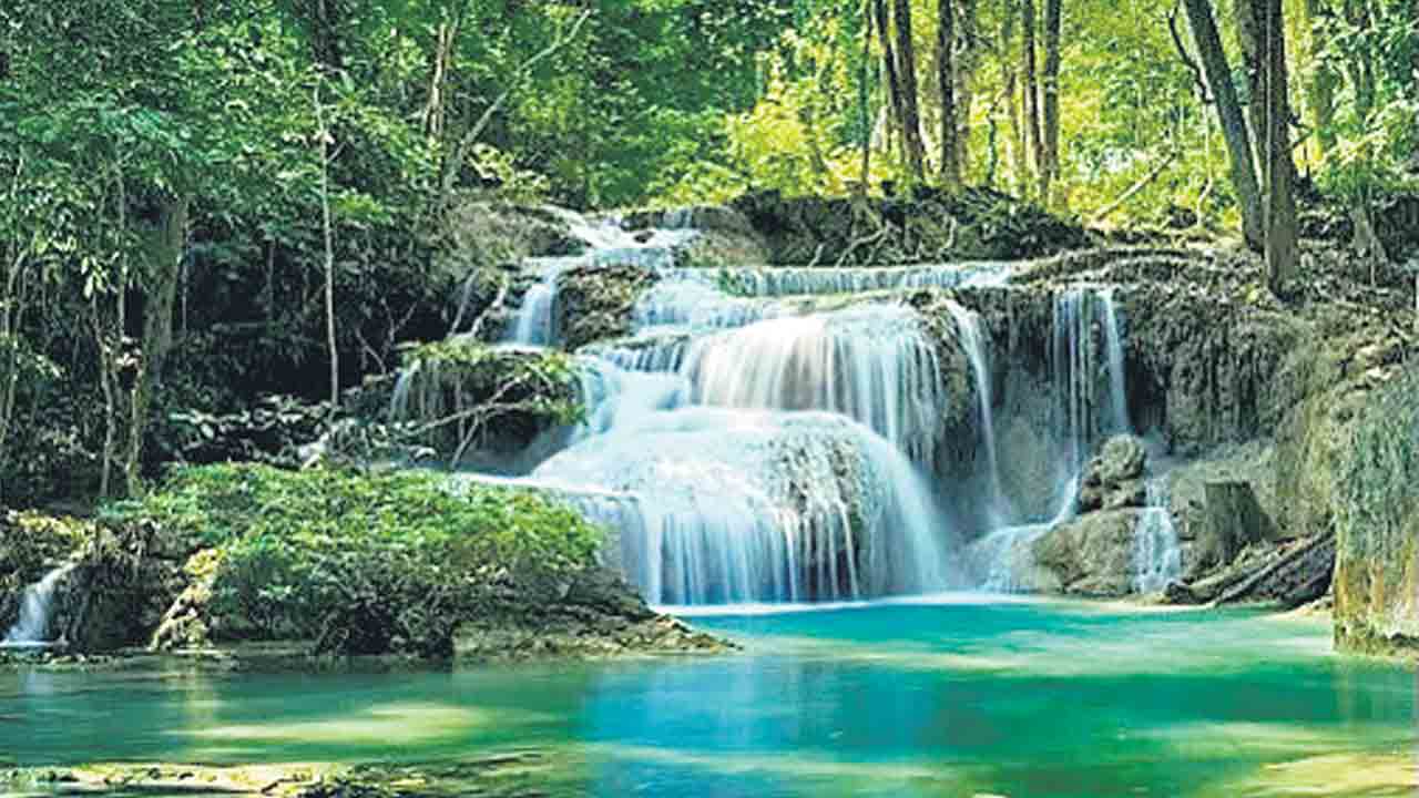 మోయలేని భారం