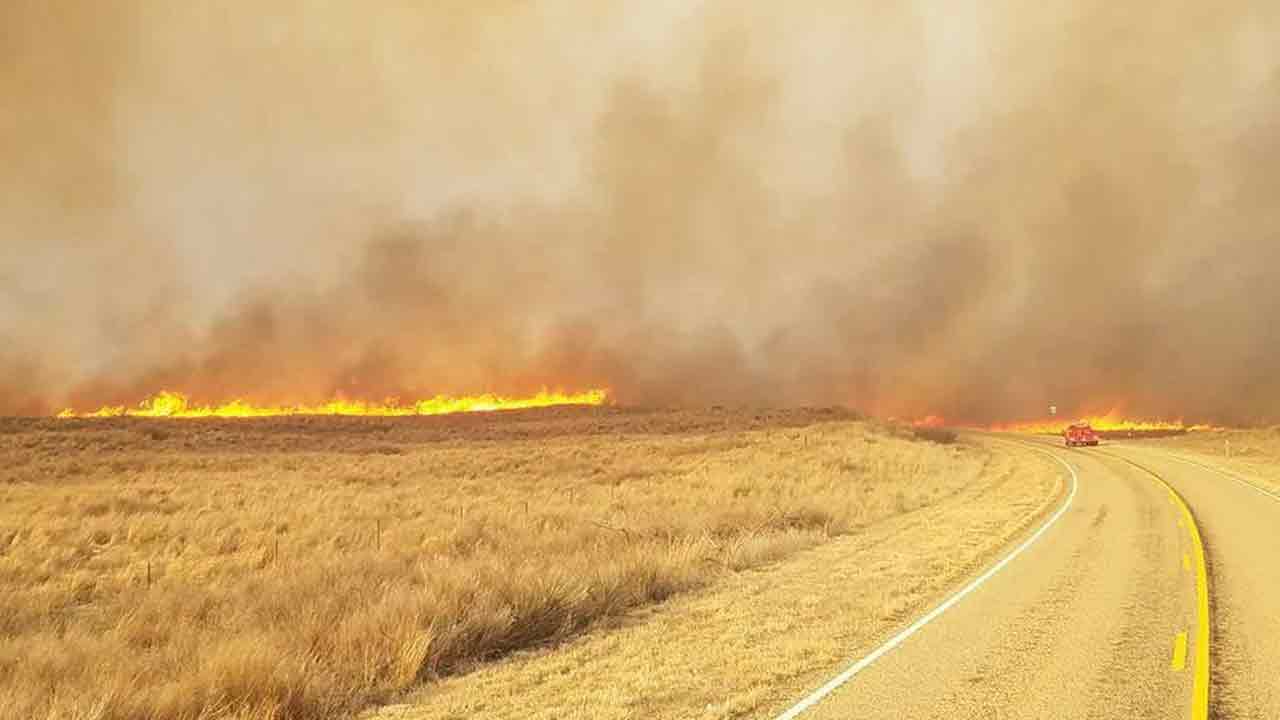 Wild fire | టెక్సాస్‌ను కమ్మేసిన కార్చిచ్చు.. 60 కౌంటీల్లో విపత్తుగా ప్రకటన