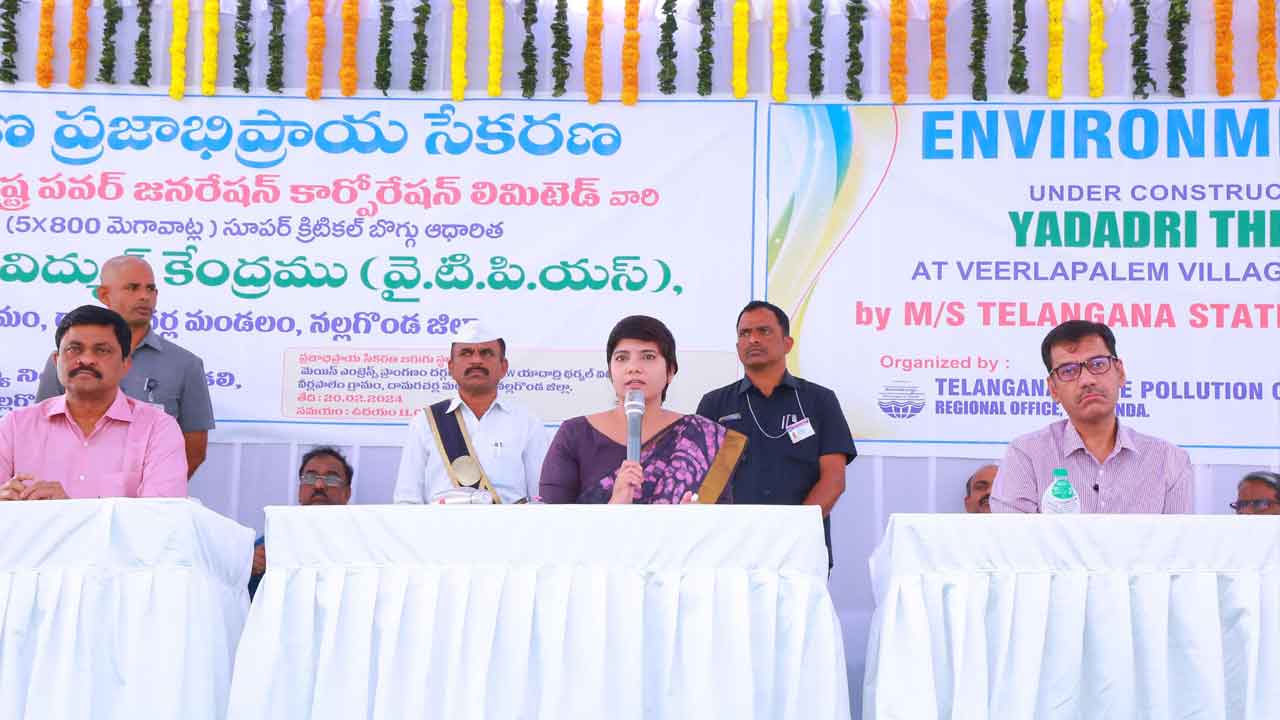 పవర్ప్లాంట్కు ప్రజామోదం