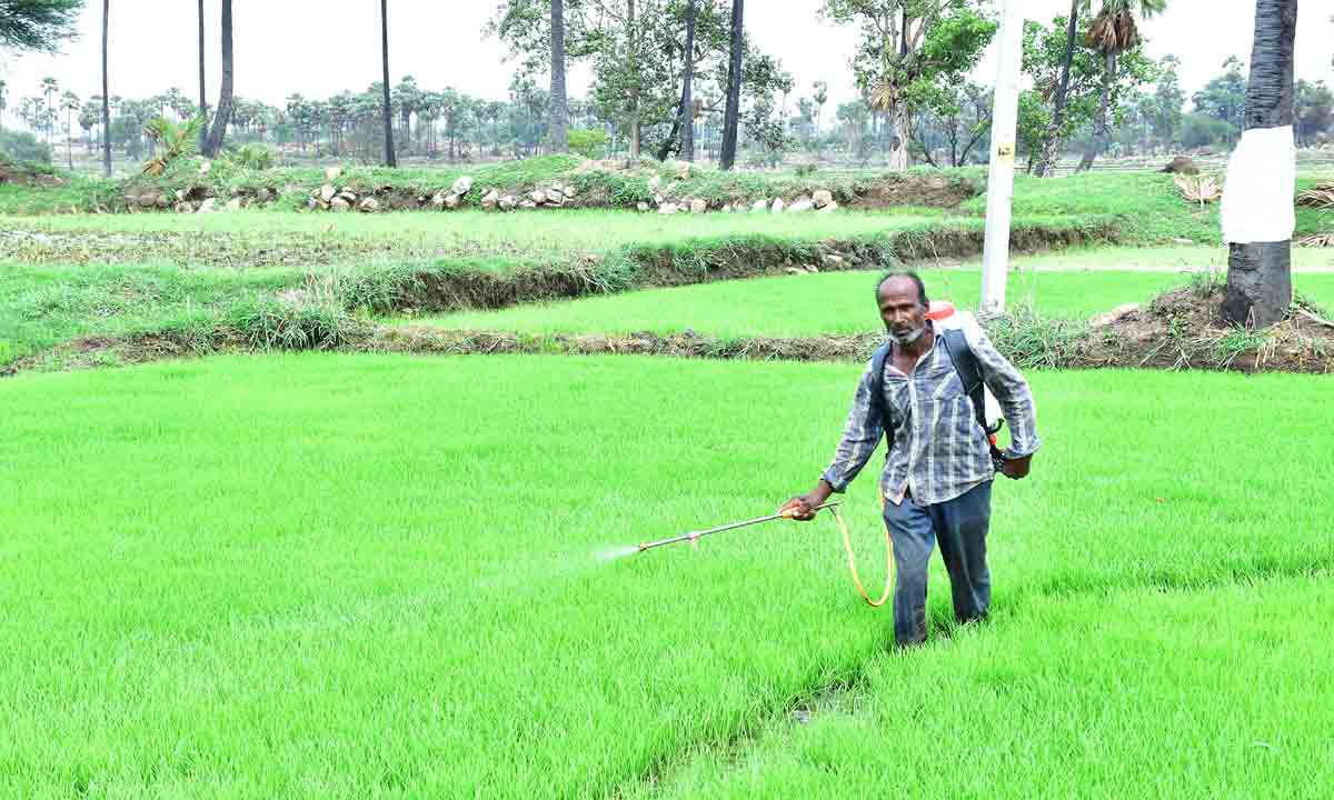 Rythu Bandhu | రైతు బంధు ఇంకెప్పుడు?.. సాగు పనులు పూర్తయినా సాయం అందని దుస్థితి