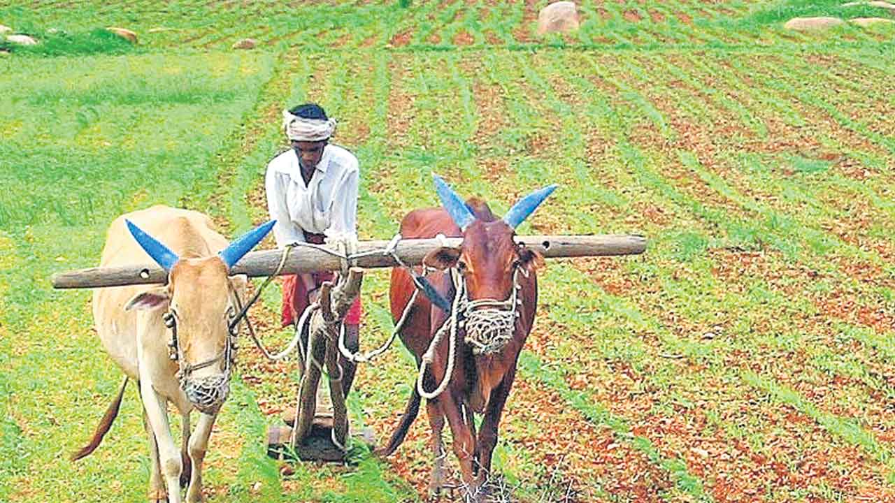 వ్యవసాయానికి 1.27 లక్షల కోట్లు