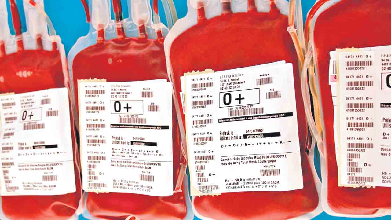 Blood Banks | రక్తంతో వ్యాపారం.. డ్రగ్‌ కంట్రోల్‌ అధికారుల నిర్లక్ష్యంతో పెరుగుతున్న ఆగడాలు
