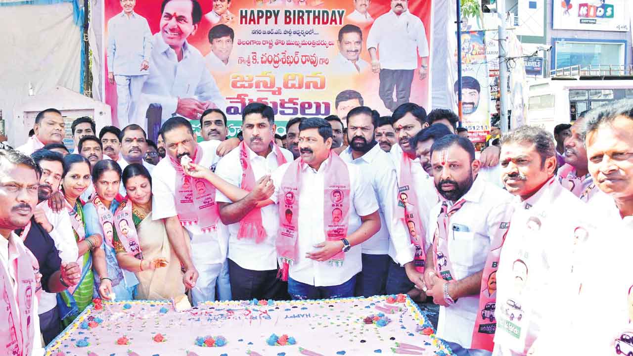 Cake Cutting 2