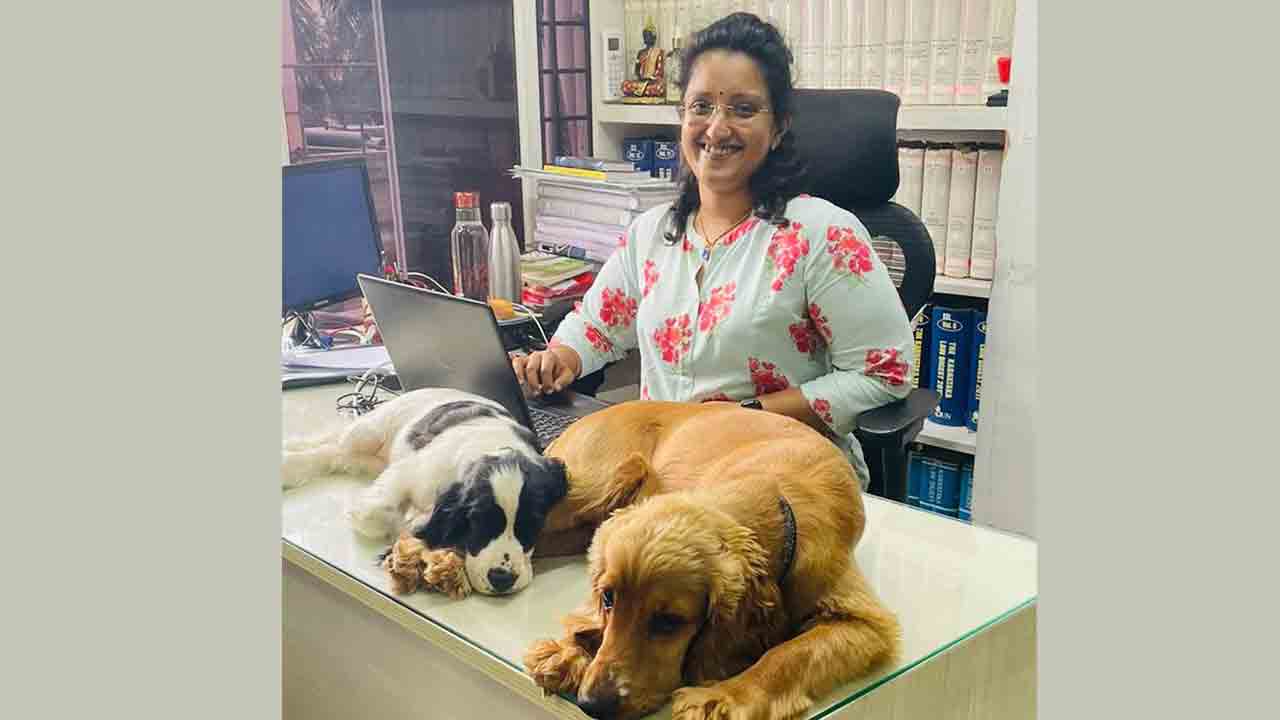 కుక్కల కన్సల్టెంట్‌