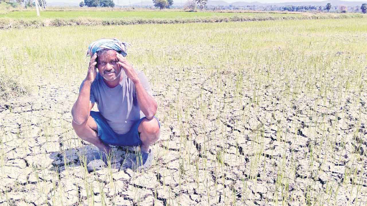 నీళ్లు లేక నెర్రెలు