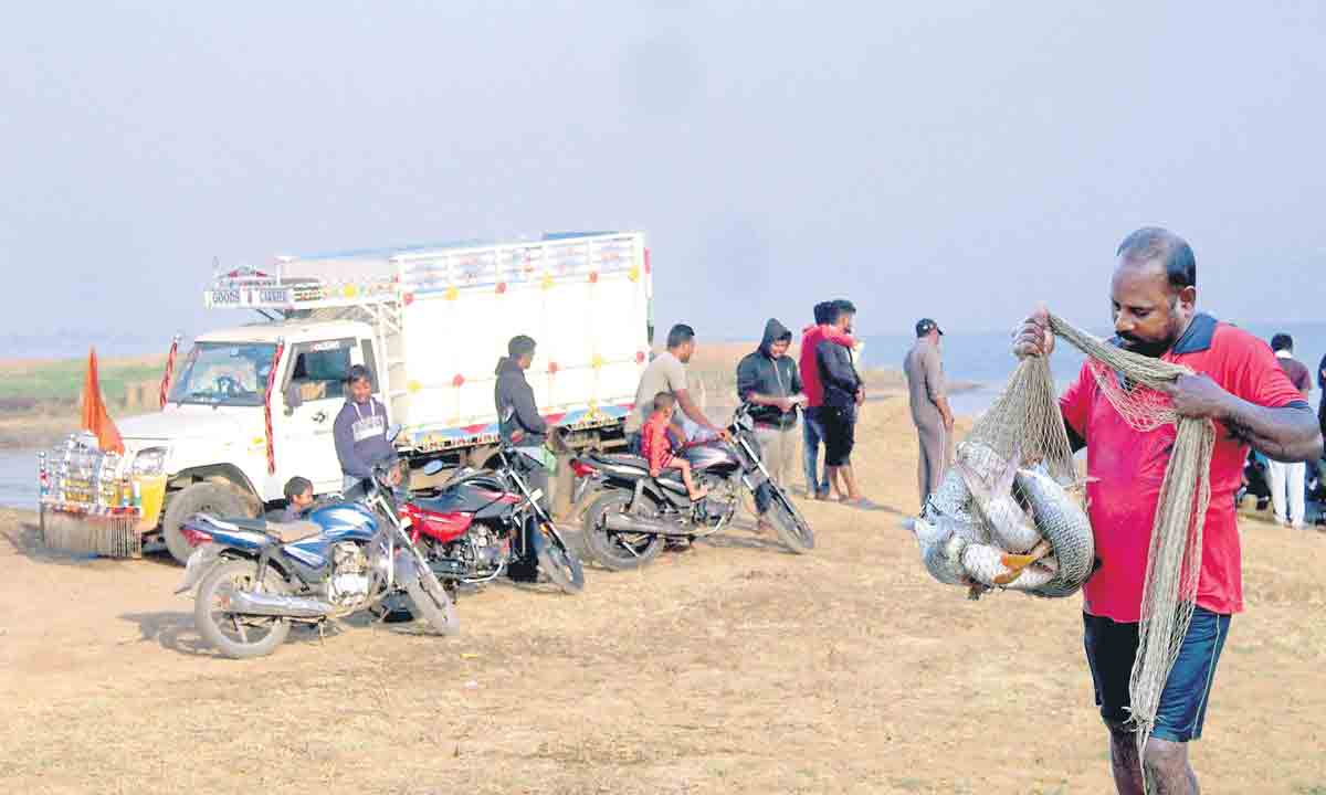 దళారుల వలలో సబ్సిడీ చేపలు