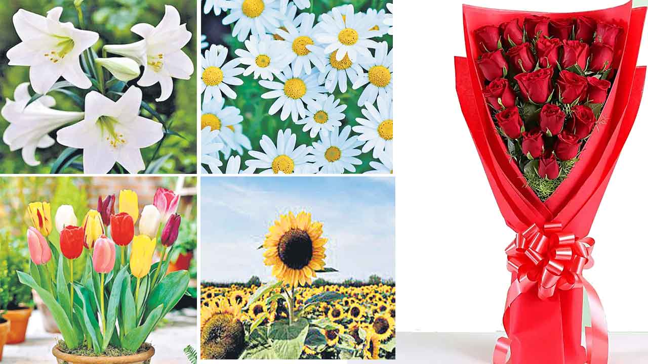 ఎప్పుడూ గులాబీలేనా?