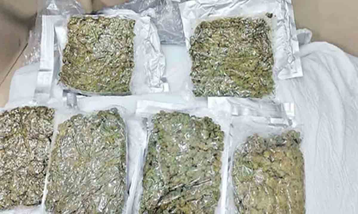 Ganja | ఎల్బీనగర్లో గంజాయి విక్రయిస్తున్న దంపతుల అరెస్టు