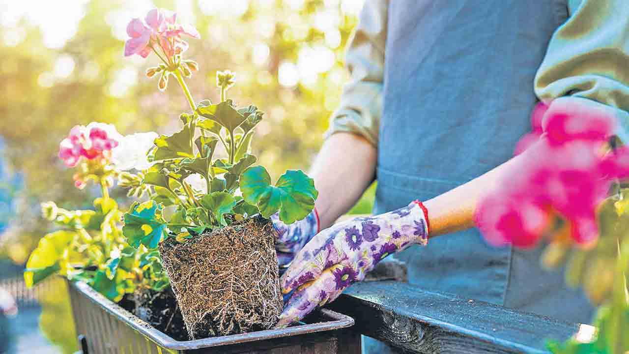 ఇదీ వ్యాయామమే..