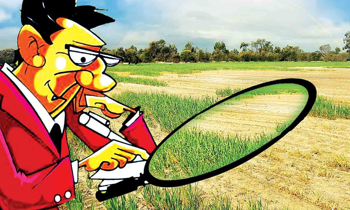 ప్రభుత్వ భూములపై నజర్‌