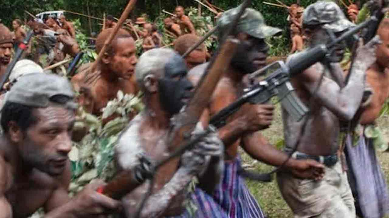 Papua New Guinea: ప‌ప్వా న్యూ గునియాలో గిరిజ‌న తెగ‌ల మ‌ధ్య వార్‌.. 64 మంది మృతి