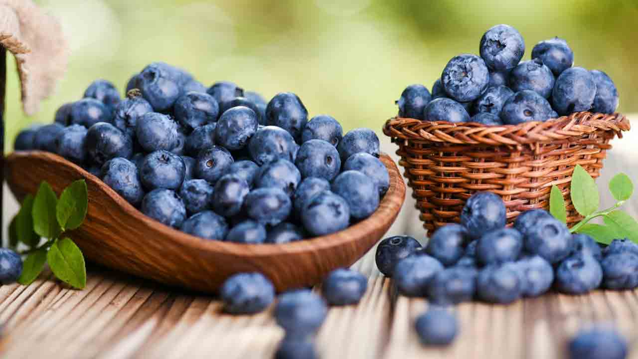 బెర్రీలపై దిగుమతి సుంకం తగ్గింపు