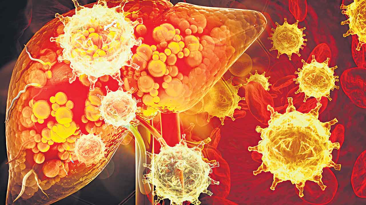 Health Tips | ఈ లక్షణాలు కనిపిస్తున్నాయా.. మీ కాలేయానికి ప్రమాదం పొంచి ఉన్నట్లే !