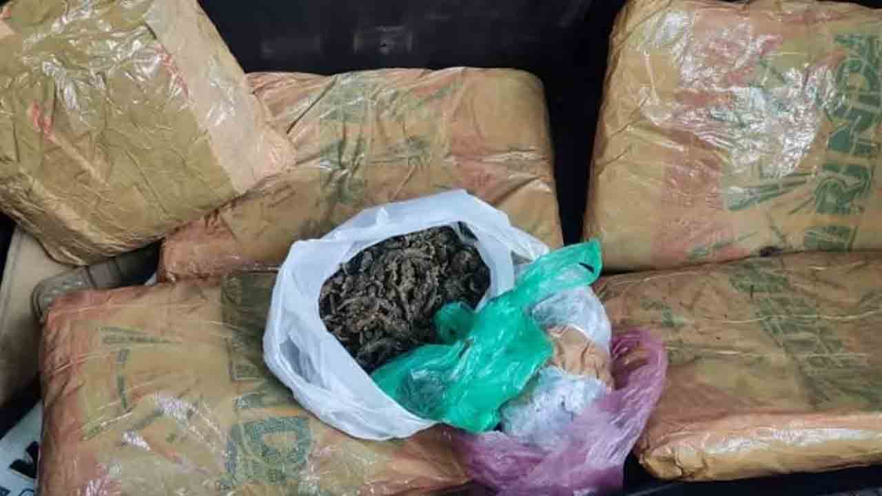 Crime News | చదివేది హోటల్‌ మేనేజ్‌మెంట్‌.. చేసేది గంజాయి విక్రయం