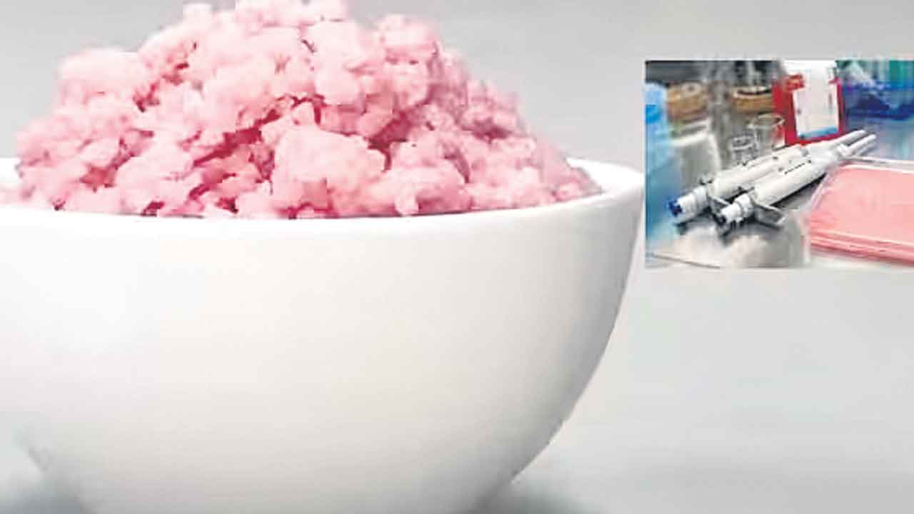 Non veg rice | నాన్‌ వెజ్‌ రైస్‌.. సాధారణ బియ్యం కంటే 8 శాతం ప్రొటీన్లు, 7 శాతం కొవ్వు అధికం..!