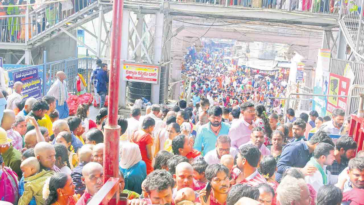 రాజన్న సన్నిధికి లక్షమంది