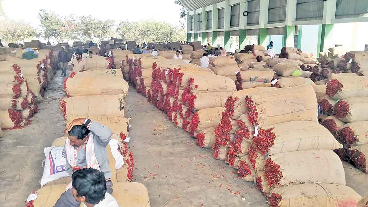 మిర్చి రైతుకు తిప్పలు