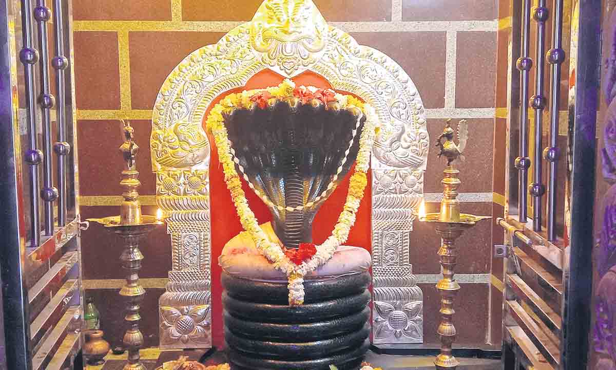 Nagoba Jatara | పడియోరుకు వేళాయే.. నేడు నాగోబాకు మహాపూజ