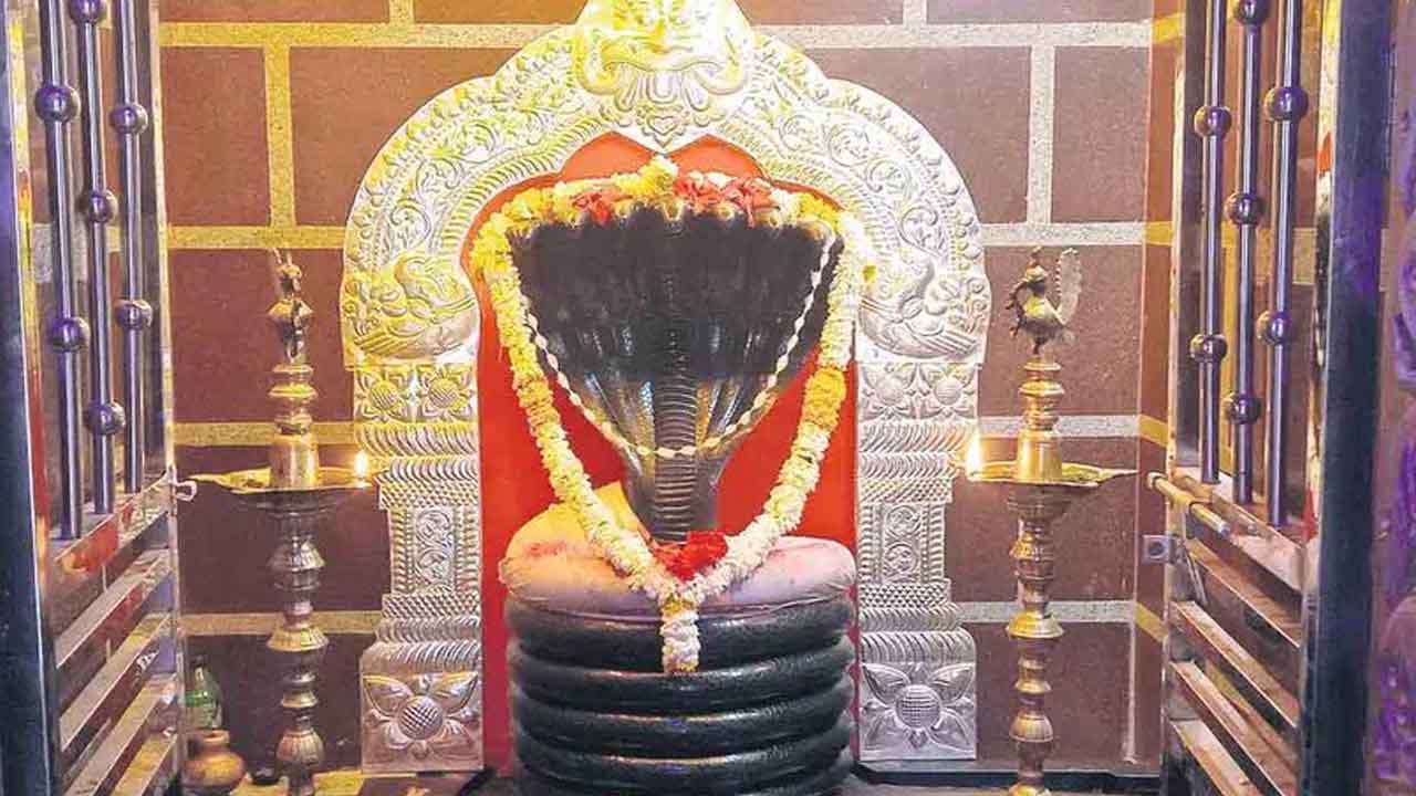 నేడు నాగోబాకు మహాపూజ