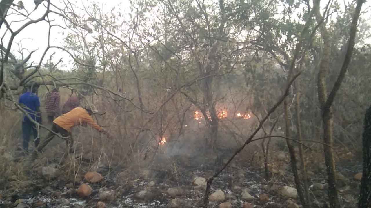 Nallamala forest | నల్లమల అడవుల్లో భారీ అగ్ని ప్రమాదం : వీడియో