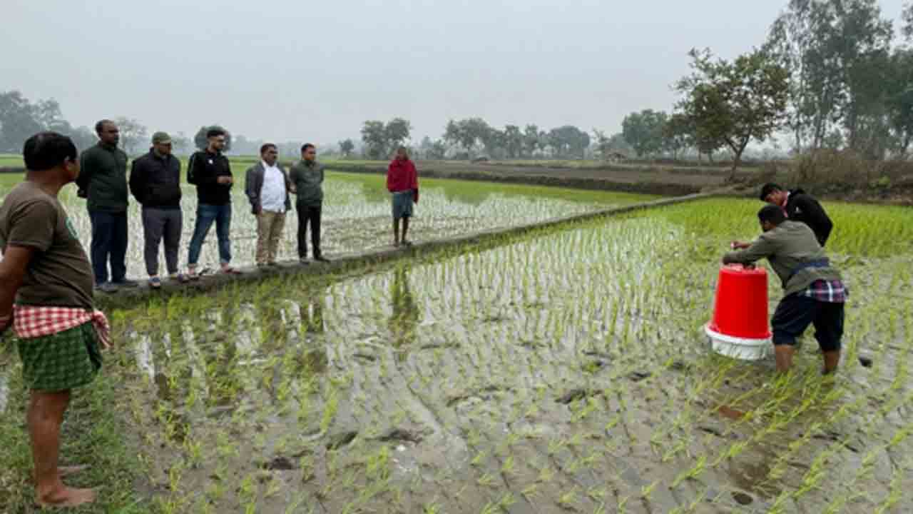 జీహెచ్‌జీ కొలతకు ఇక్రిశాట్‌ కొలమానిని