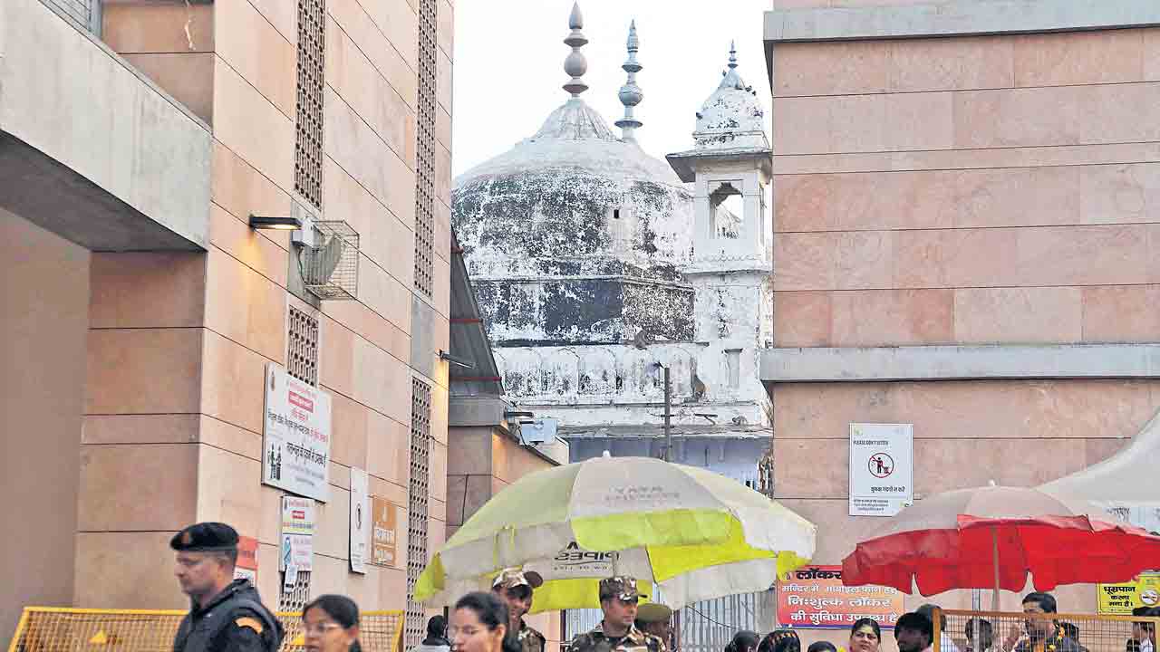 అన్ని సెల్లార్లలోనూ సర్వే చేపట్టాలి