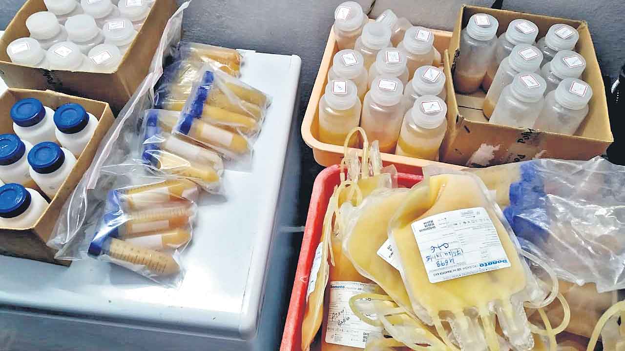 Plasma | ‘ప్లాస్మా’ రాకెట్‌ గుట్టు రట్టు.. బ్లడ్‌ బ్యాంకుల నుంచి కొని కంపెనీలకు అమ్ముతున్న రాఘవేంద్ర నాయక్‌