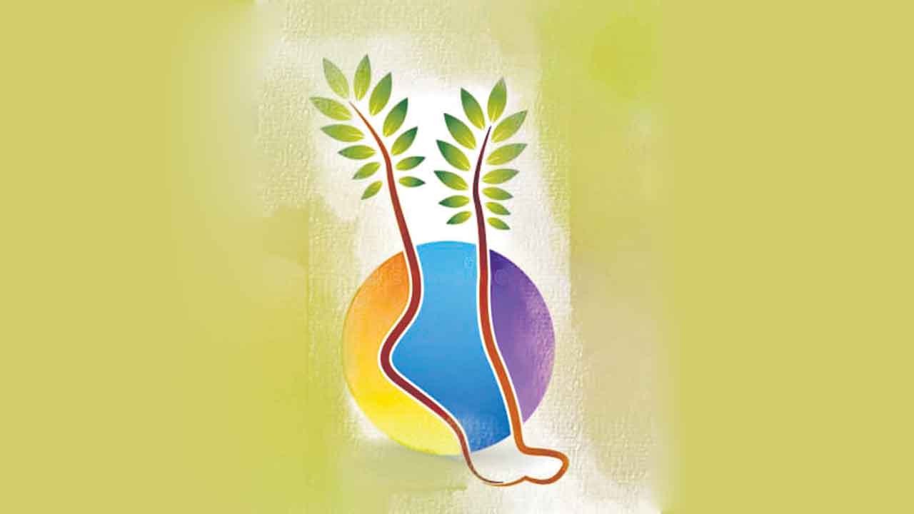 పత్తి గింజల్లెక్క