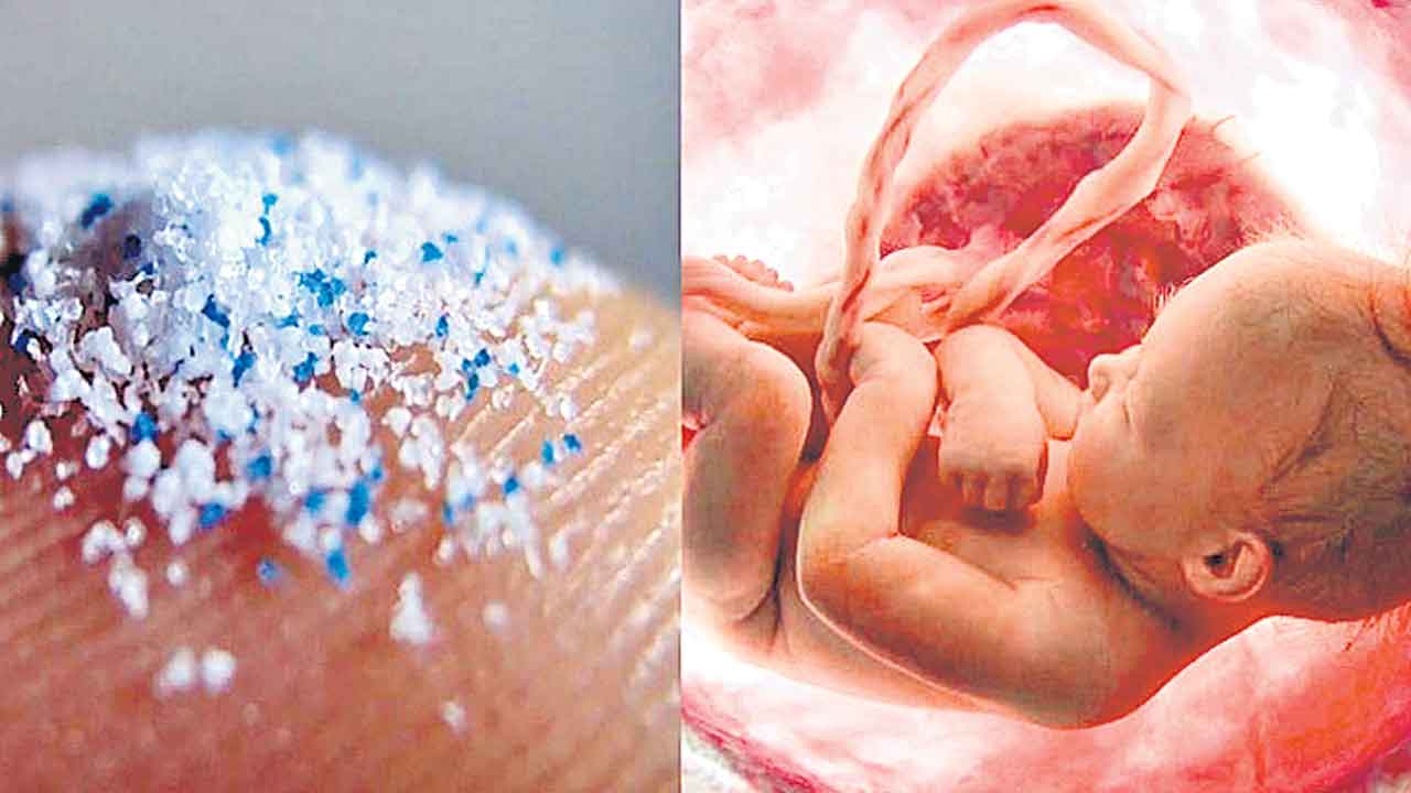Microplastics | పిండాన్నీ వదలని ప్లాస్టిక్‌ భూతం.. గర్భిణుల్లో పెరుగుతున్న మైక్రోప్లాస్టిక్‌!