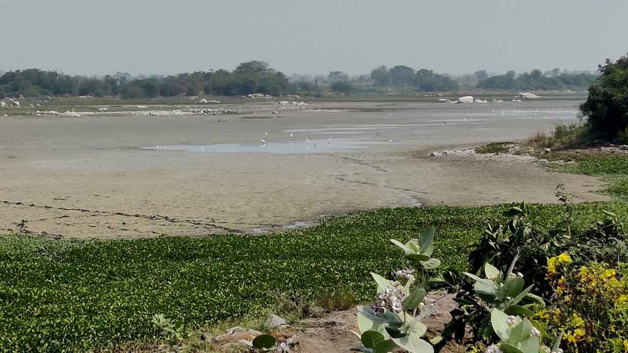 కృష్ణ పట్టెలో కరువు తాండవం