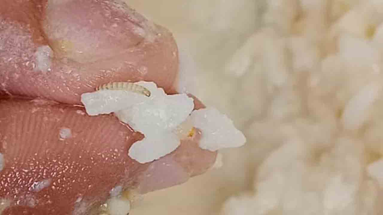 పురుగుల అన్నంపై భగ్గుమన్న విద్యార్థులు