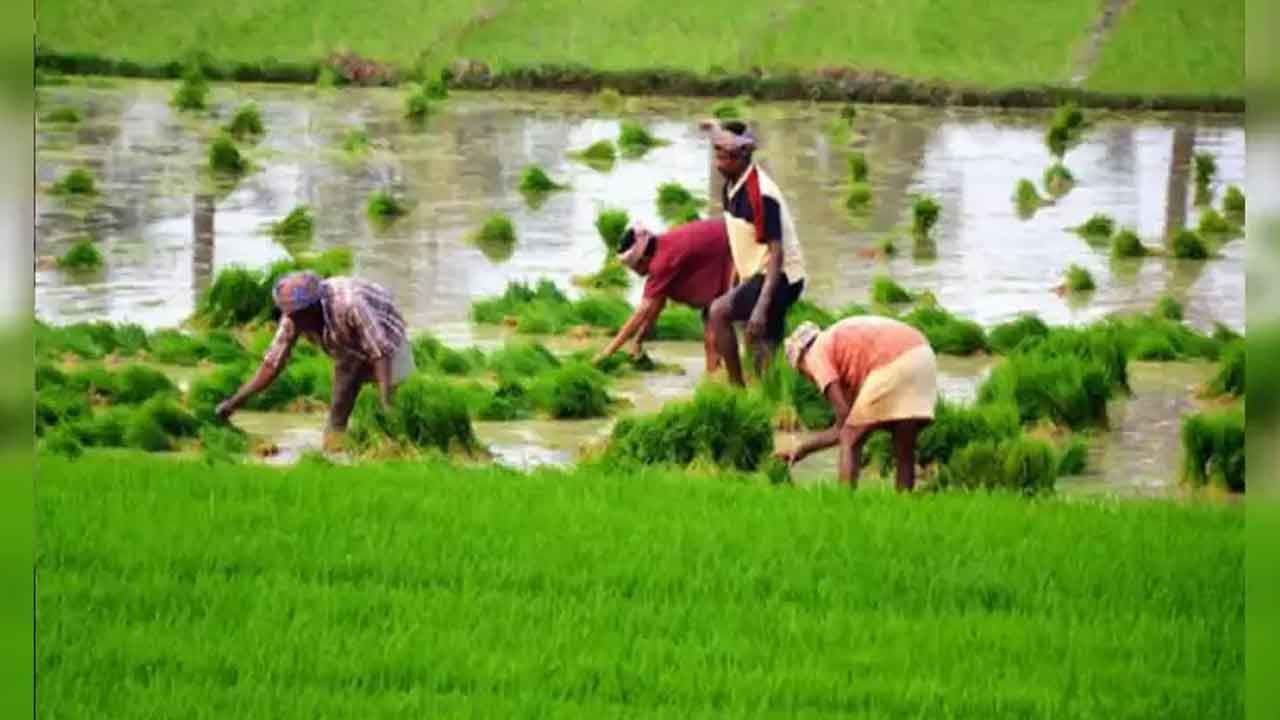 Rythu Bandhu | రైతుబంధు నిధులు పక్కదారి.. గద్వాల జిల్లాలో ఏఈవో నిర్వాకంతో బినామీ ఖాతాల్లోకి పెట్టుబడి సాయం