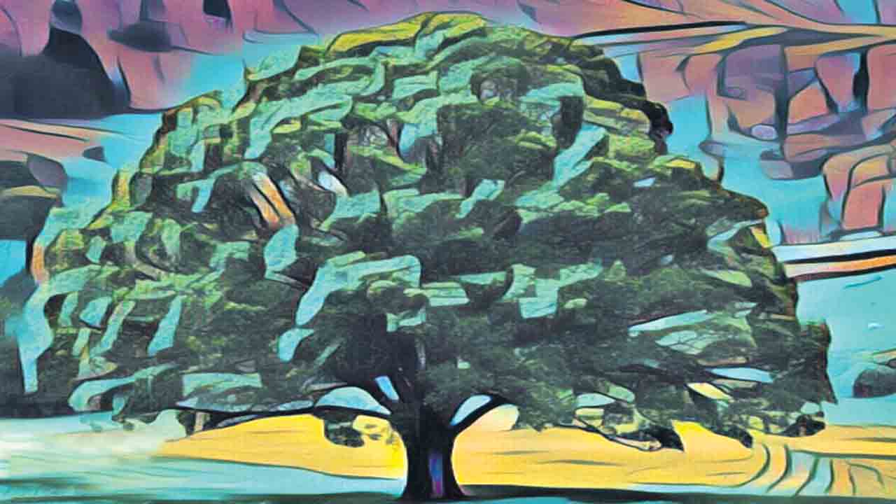 తరువే నా గురువు