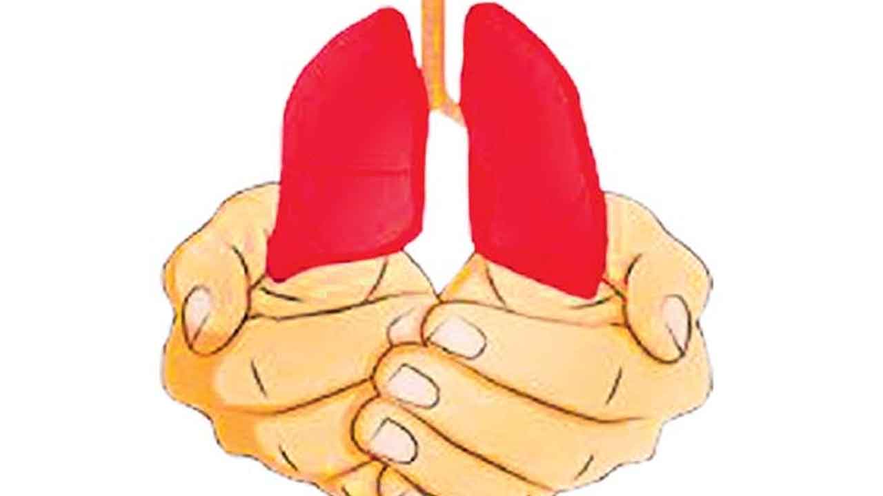 TB | క్షయకు చెక్‌ పెట్టేందుకు మోడ్రన్‌ బయాలజీపై దృష్టి