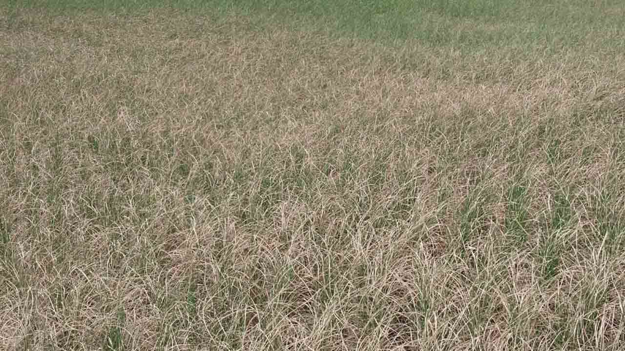 నిర్వహణ లోపం.. రైతులకు శాపం