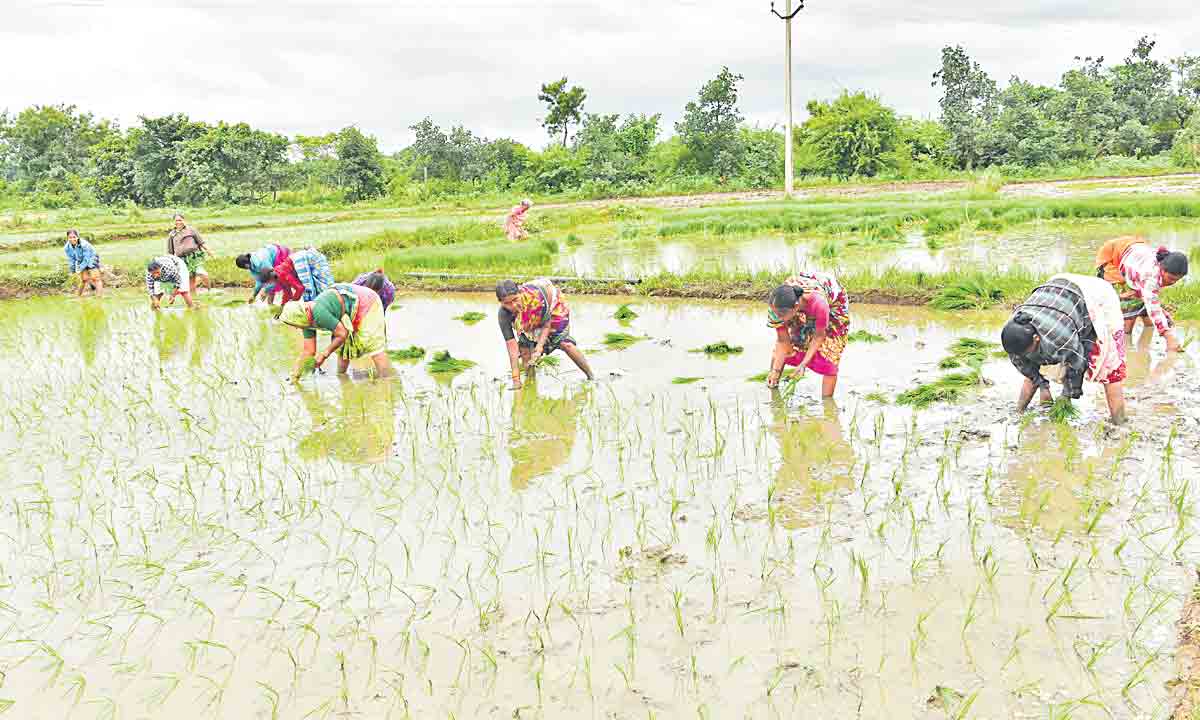 సాయం.. ఆలస్యం అప్పు.. నిర్లక్ష్యం