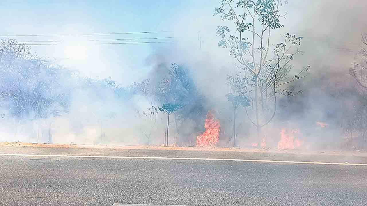 అడవికి నిప్పు