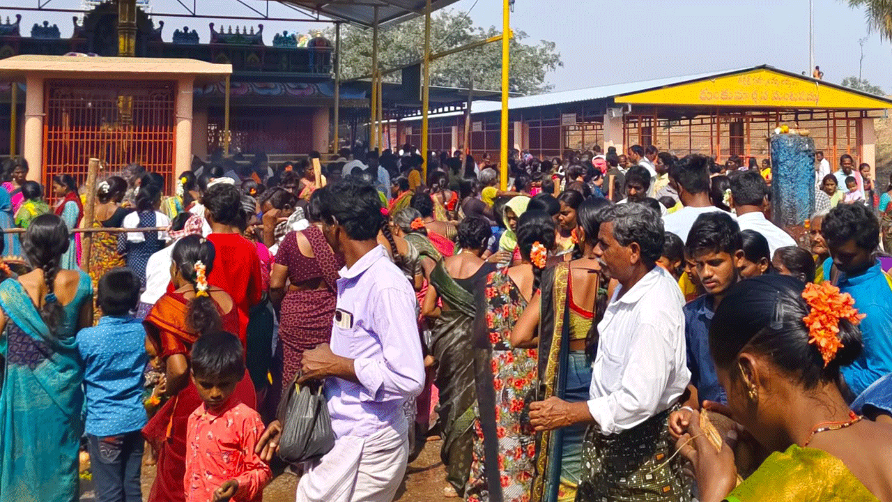 జములమ్మ క్షేత్రం జనసంద్రం