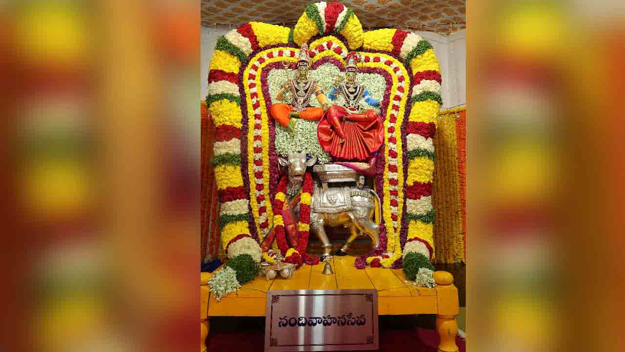 శోభాయమానం.. ప్రభోత్సవం