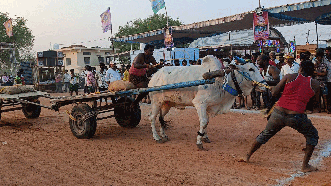 ఉత్సాహంగా బండ్ల గిరక పోటీలు