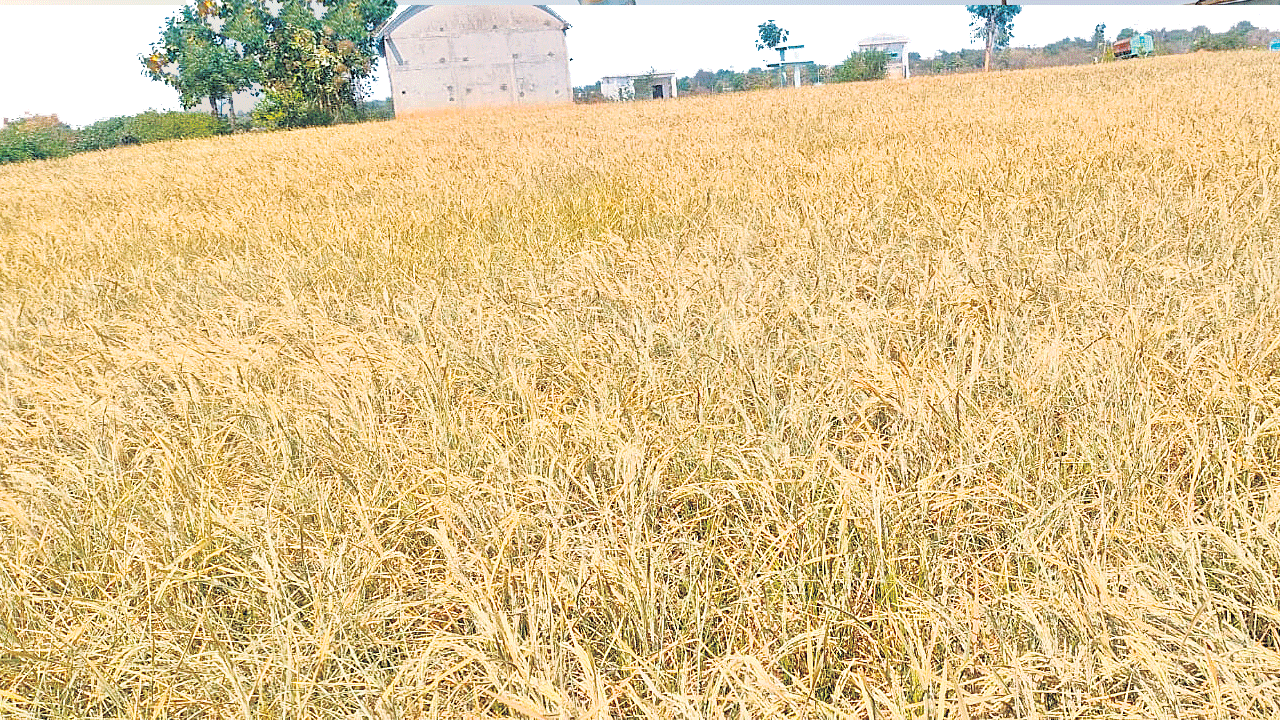 అడుగంటిన ఆశలు..