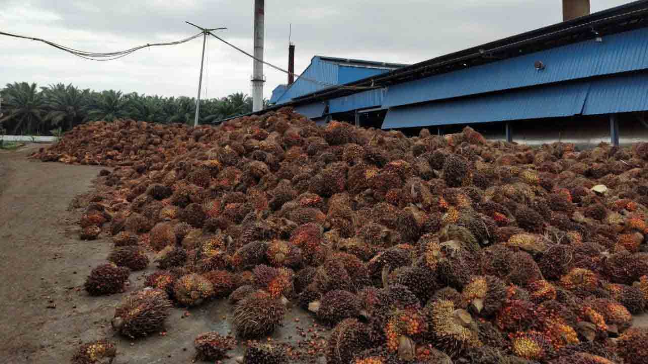 రైతుల ఖాతాల్లో ‘వ్యత్యాసం’ నగదు