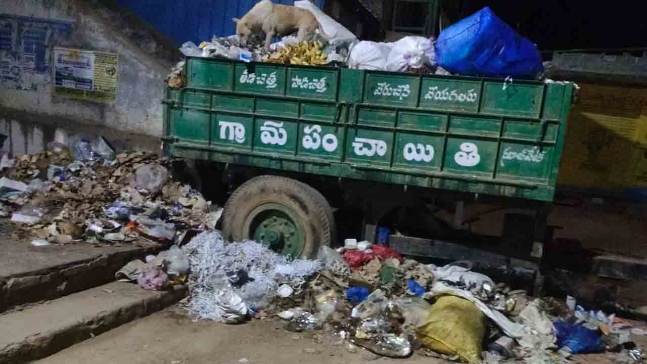 పడకేసిన పారిశుధ్యం