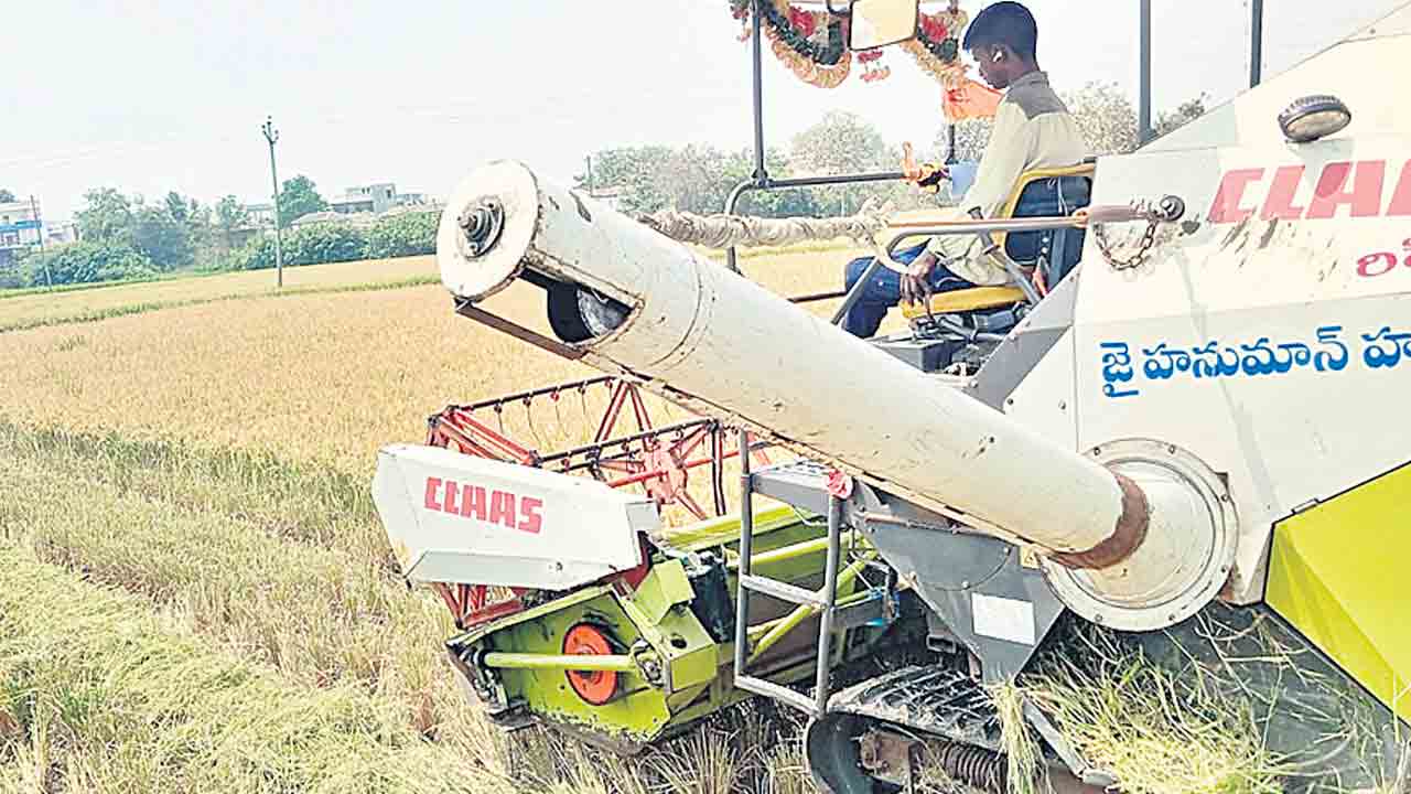 వరి కోతలు షురూ..