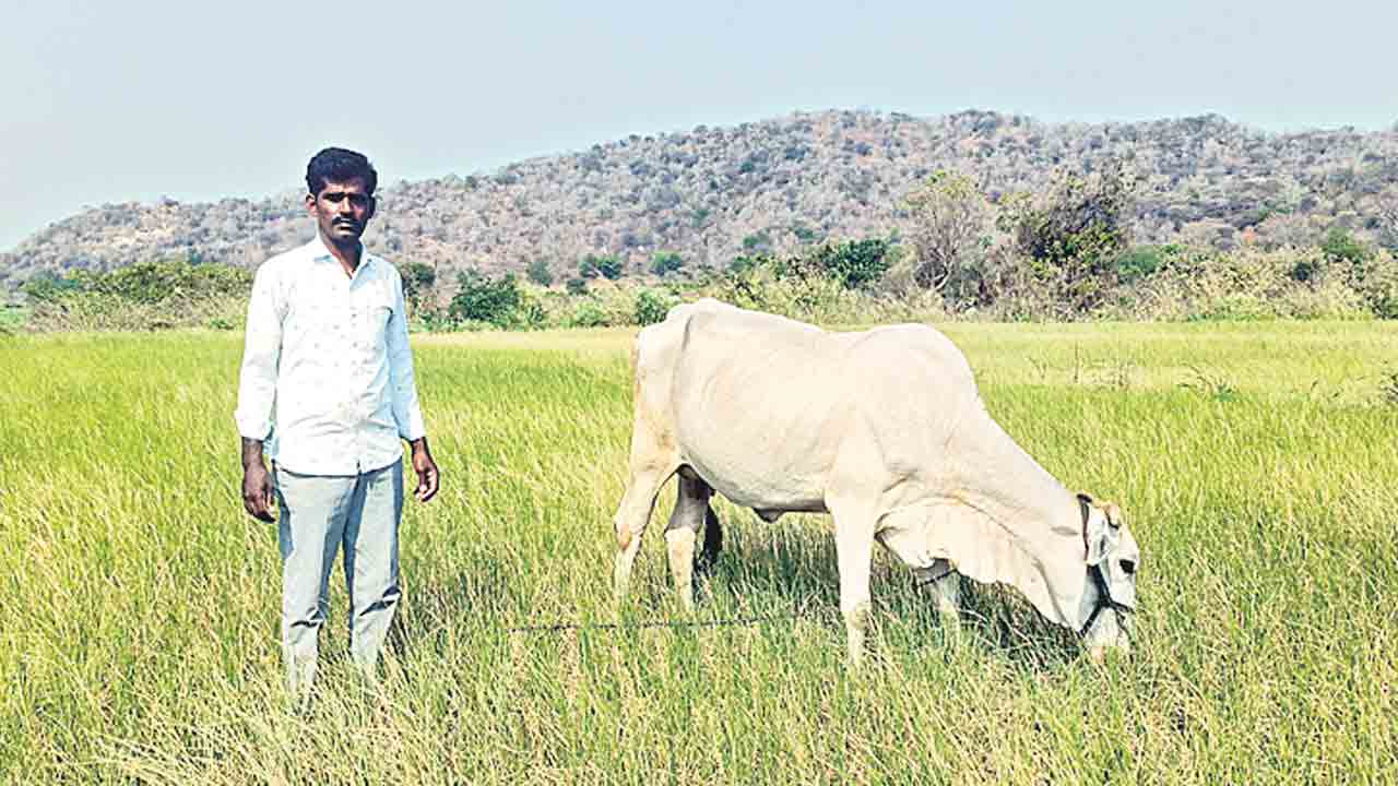 బొమ్మారెడ్డిపల్లికి సాగునీటి గోస