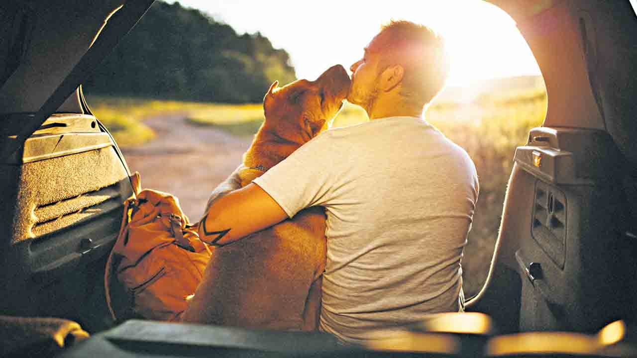 మనుషులకే కాదు.. శునకాలూ లోన్లీగా ఫీలవుతాయట.. ఎలా తెలుసుకోవాలంటే..!