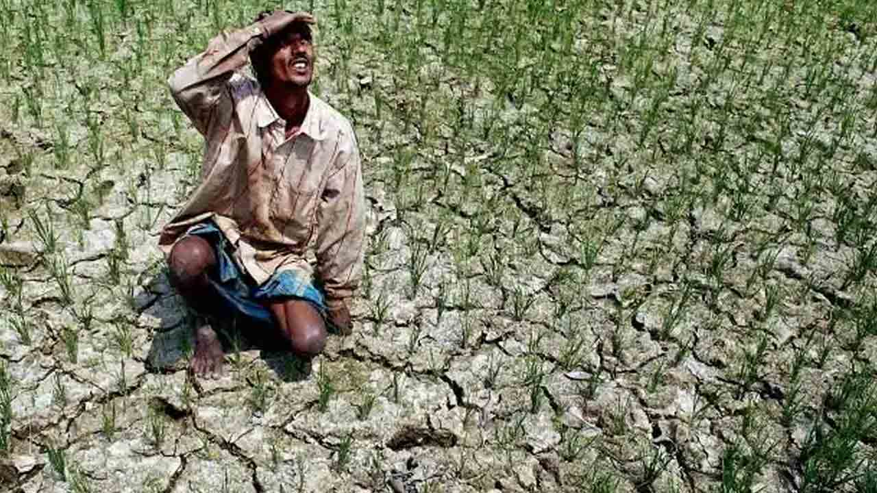 నాటి గోస గుర్తుకొస్తున్నది